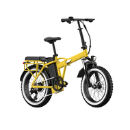 Foadable E-bike