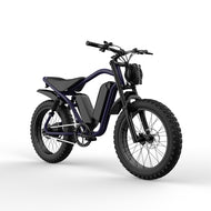Hot Sale 20 Inch Fat Tire Electric Dirt Bike for Adults 750W Motor 48V 15.6Ah Off Road E-Bike From China Manufacturer